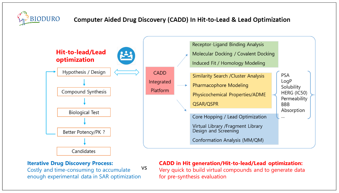 Computer Aided Drug Discovery (CADD) In Hit-to-Lead Optimization ...